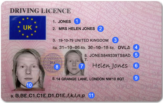 Nj driver s license lookup